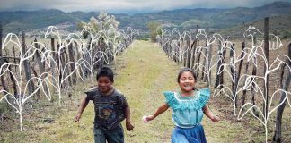 Watsonville Film Festival