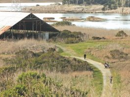 Elkhorn Slough restoration project receives $1.3M grant Elkhorn Slough restoration grant
