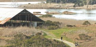 Elkhorn Slough restoration grant