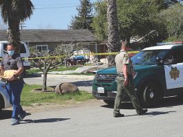 Man killed in reported family disturbance delaney avenue watsonville homicide