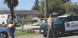 delaney avenue watsonville homicide