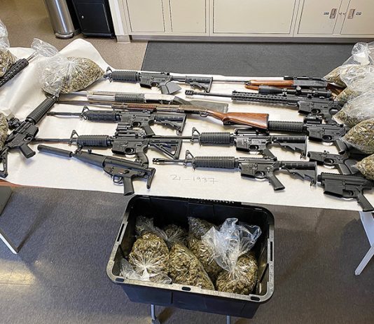 Bonny Doon drug bust