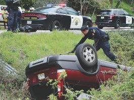 freedom boulevard woman killed