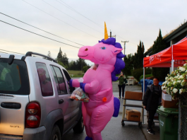 pvusd, second harvest food bank pandemic