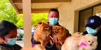 Healthy pets for all santa cruz county