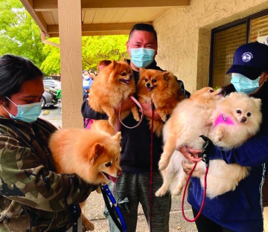 Healthy pets for all santa cruz county