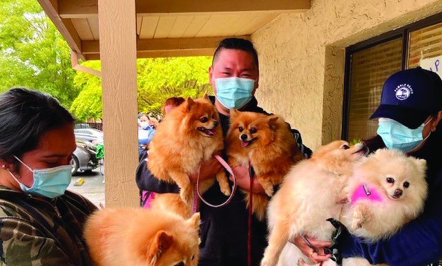 Healthy pets for all santa cruz county