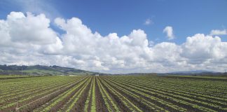 central coast watsonville weather