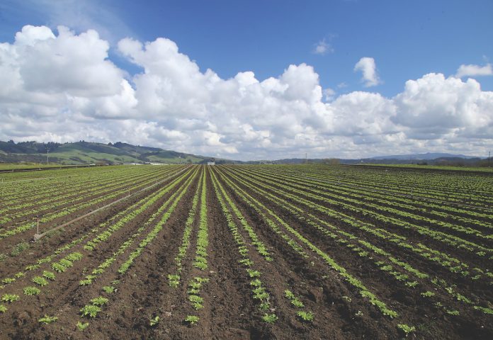 central coast watsonville weather