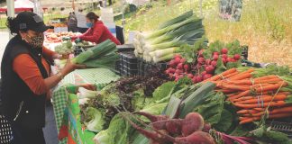 Community Health Trust of Pajaro Valley farmers market watsonville