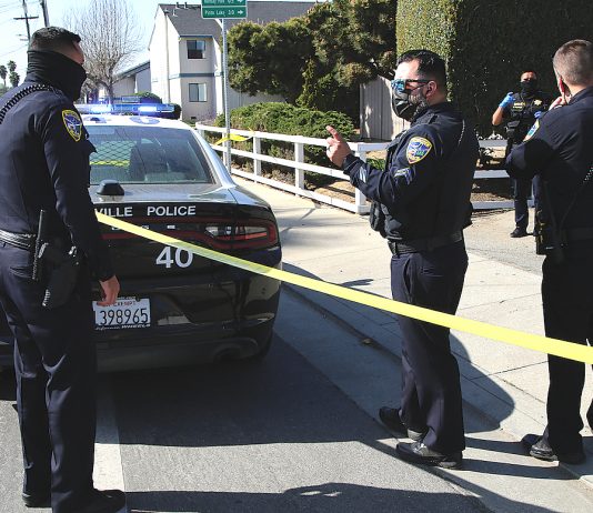 watsonville shooting