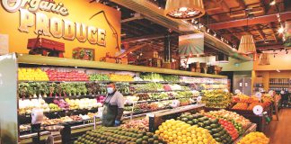 Staff or life watsonville