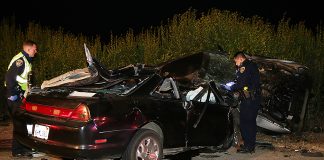 corralitos crash