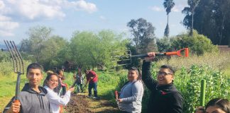 foodwhat second harvest food bank lifelab watsonville