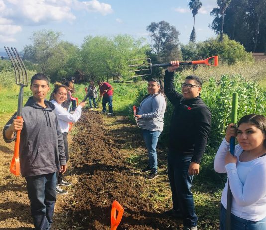foodwhat second harvest food bank lifelab watsonville