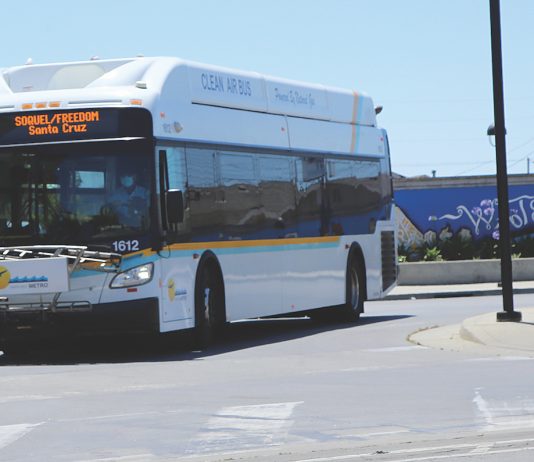 santa cruz metro alex clifford