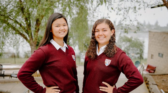 st francis high school