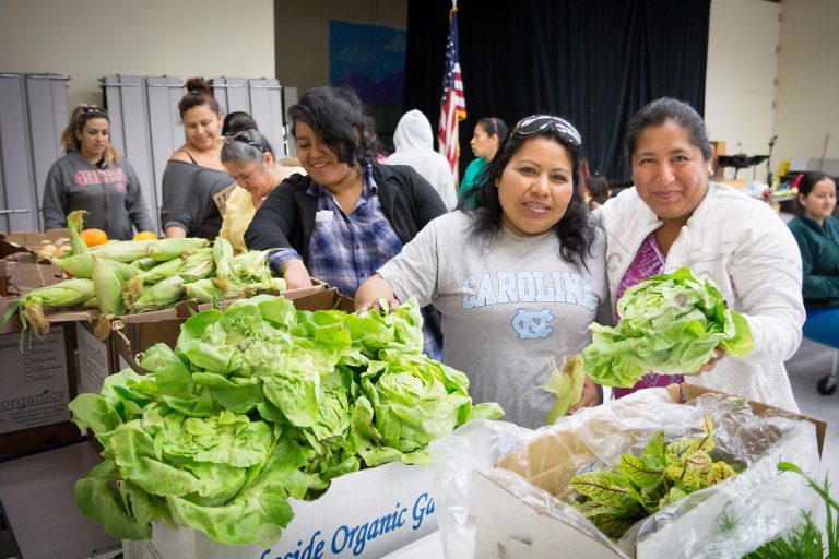 second harvest food bank