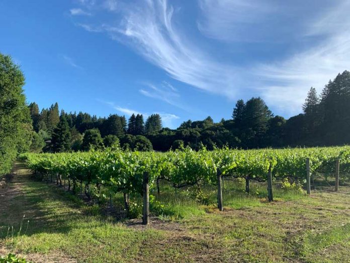 wineries pajaro valley