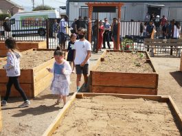 Carey-Davis Community Garden