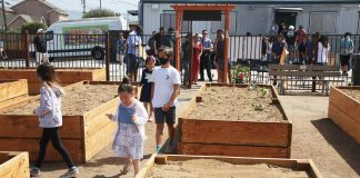 Carey-Davis Community Garden