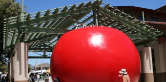 redball project