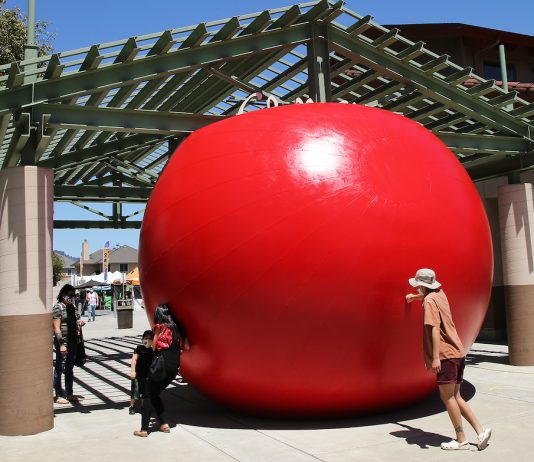 redball project