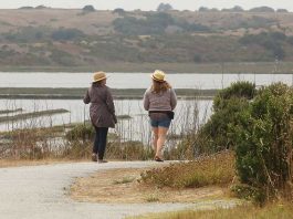 A guide to hiking in the Pajaro Valley