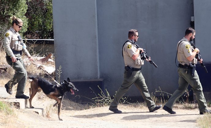 Aptos stabbing