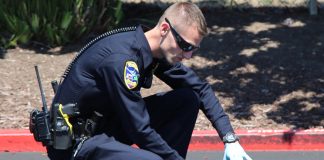 Watsonville shooting