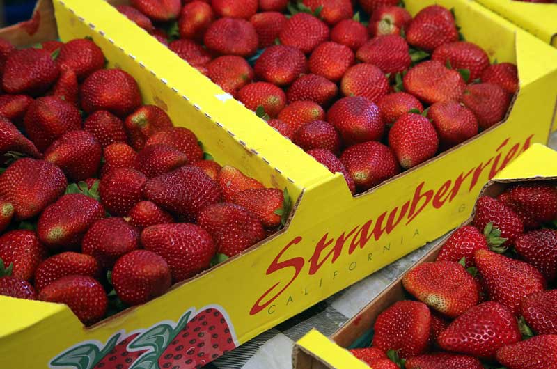 Watsonville Strawberry Festival returns this weekend