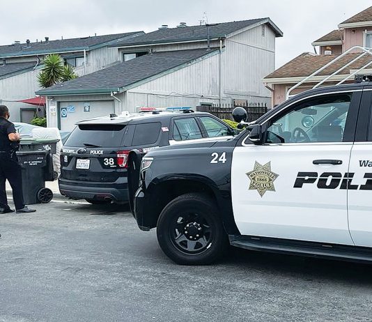 watsonville police