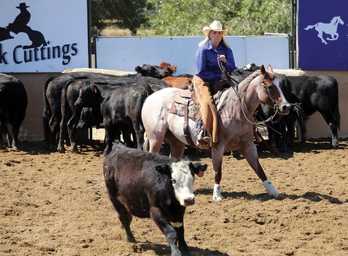 watsonville horses