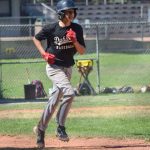 DubTown Palomino team ousted in West Zone tourney, Youth baseball - The  Pajaronian