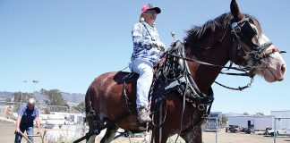 santa cruz country fair