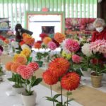 Image for display with article titled Briefs: Flower planting at Santa Cruz County Fairgrounds