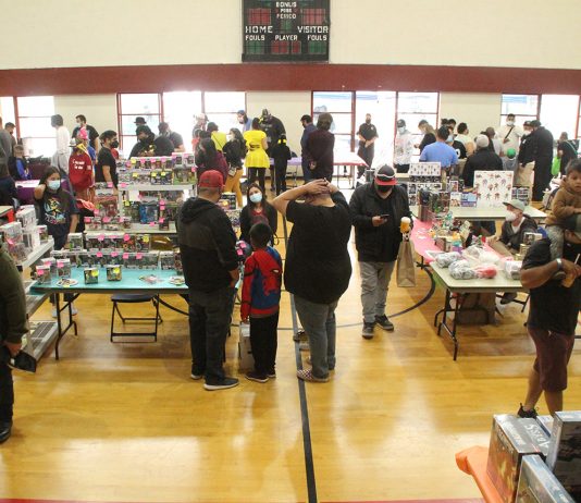 nerdville watsonville