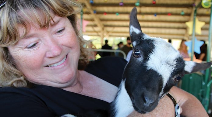 County Fair