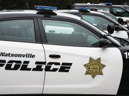 Animal welfare, police reform among new state laws watsonville police committee