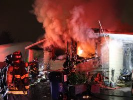 watsonville fire