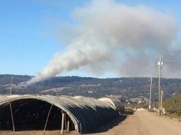 Watsonville fire