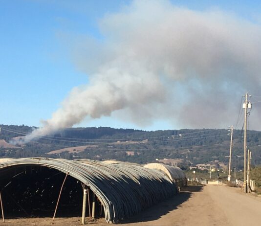 Watsonville fire