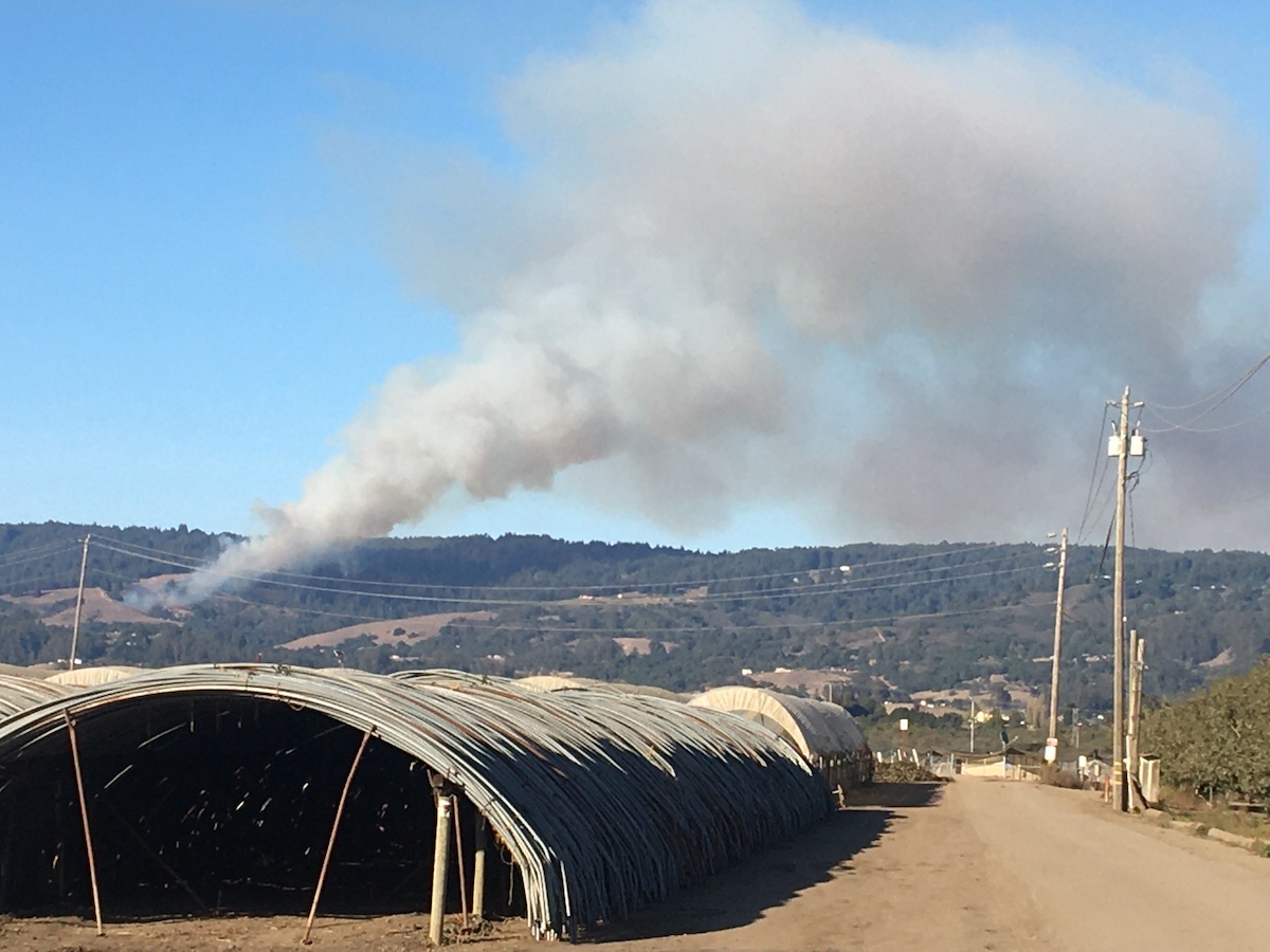 Prescribed burn sparks Estrada Fire in rural South Santa Cruz