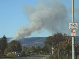 As Cal Fire makes progress on Estrada Fire, questions linger about burn Estrada Fire
