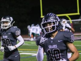 Sharks stomp Bruins in league action | HS football