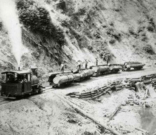 New book chronicles history of the local lumber industry