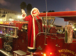 Watsonville tree lighting
