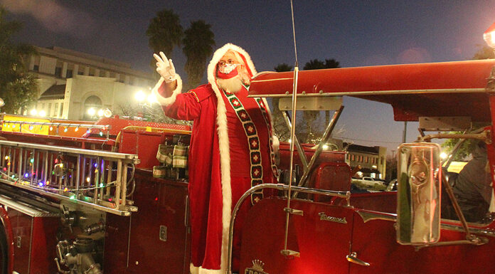 Watsonville tree lighting