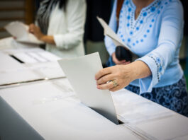 watsonville special election