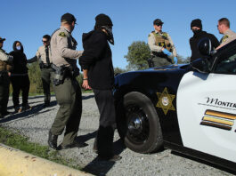 pajaro levee cleanup